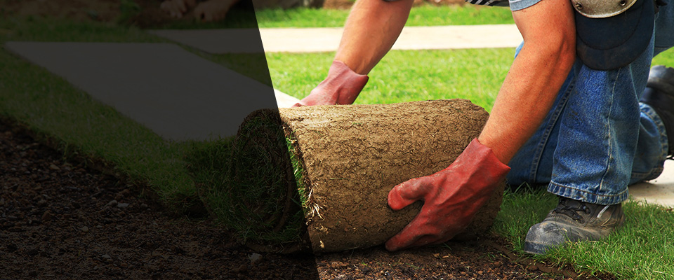 Flatwoods Landscapers